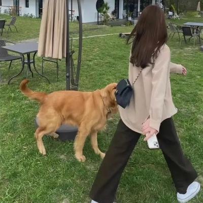 变身特派员电影版